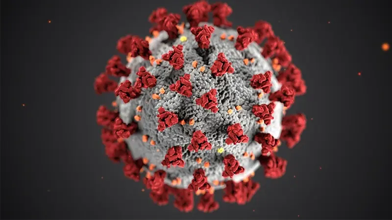 Detailed 3D Model of the COVID-19 Virus
