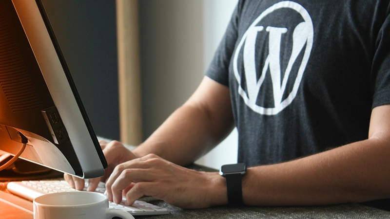 Person wearing a sweater with the WordPress logo typing on a computer.