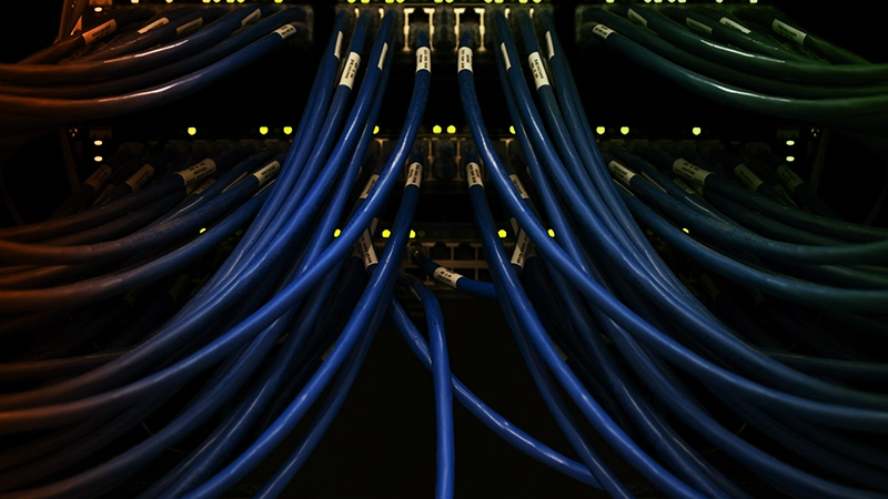 Rear view of a server with numerous cables connected to its ports.