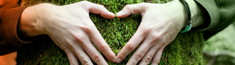 Des mains d'adulte formant un cœur au-dessus d'une terre de jardin, symbolisant l'écologie.